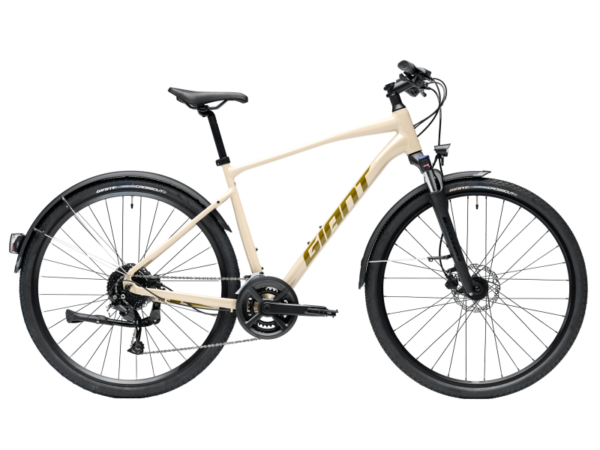 Giant Roam EX